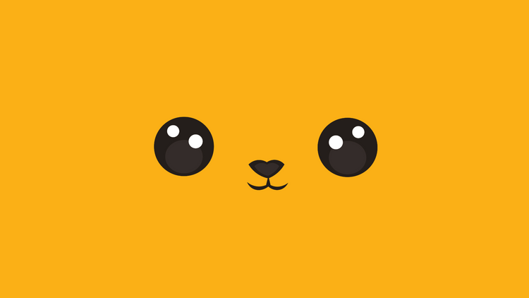 Nez, yeux doudou/peluche