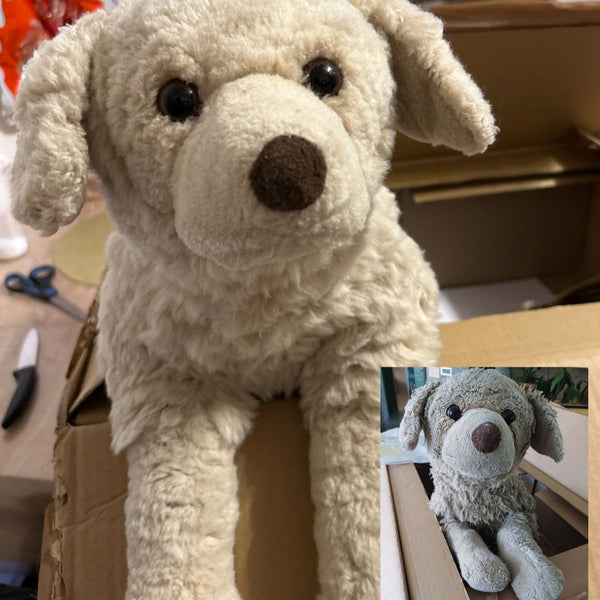 Peluche brossee avant