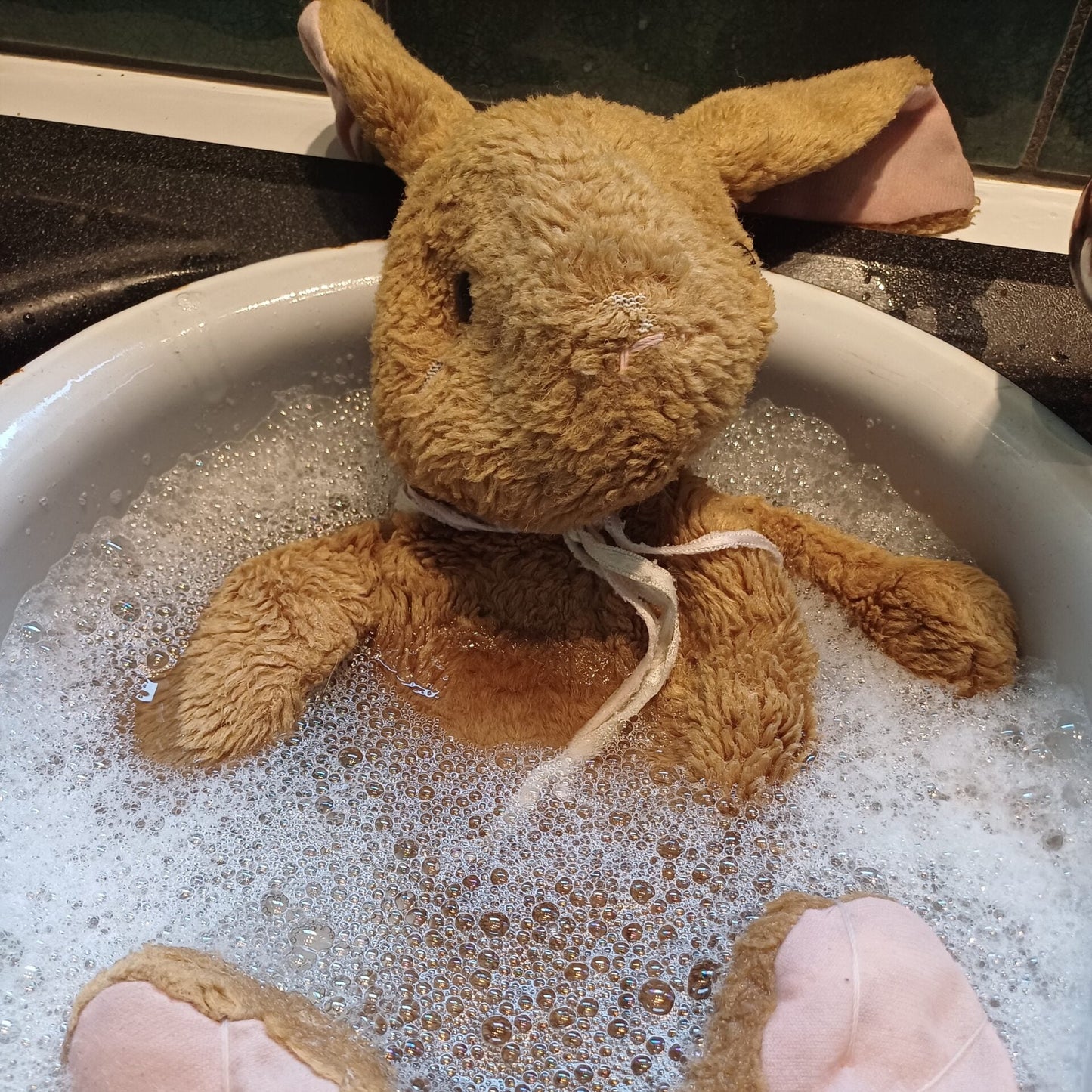 SPA pour doudous