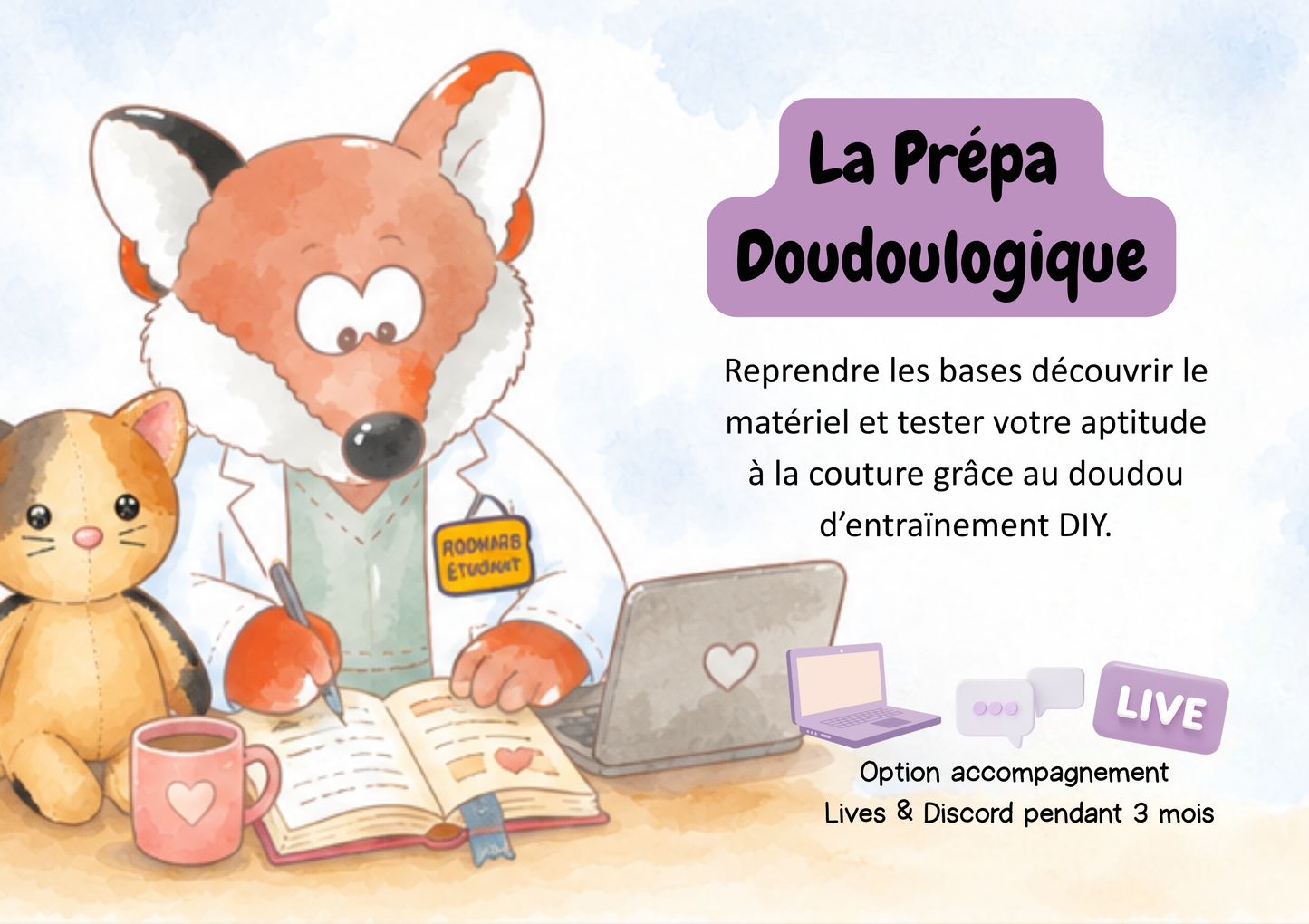 Prépa Doudoulogique -BOX DIY