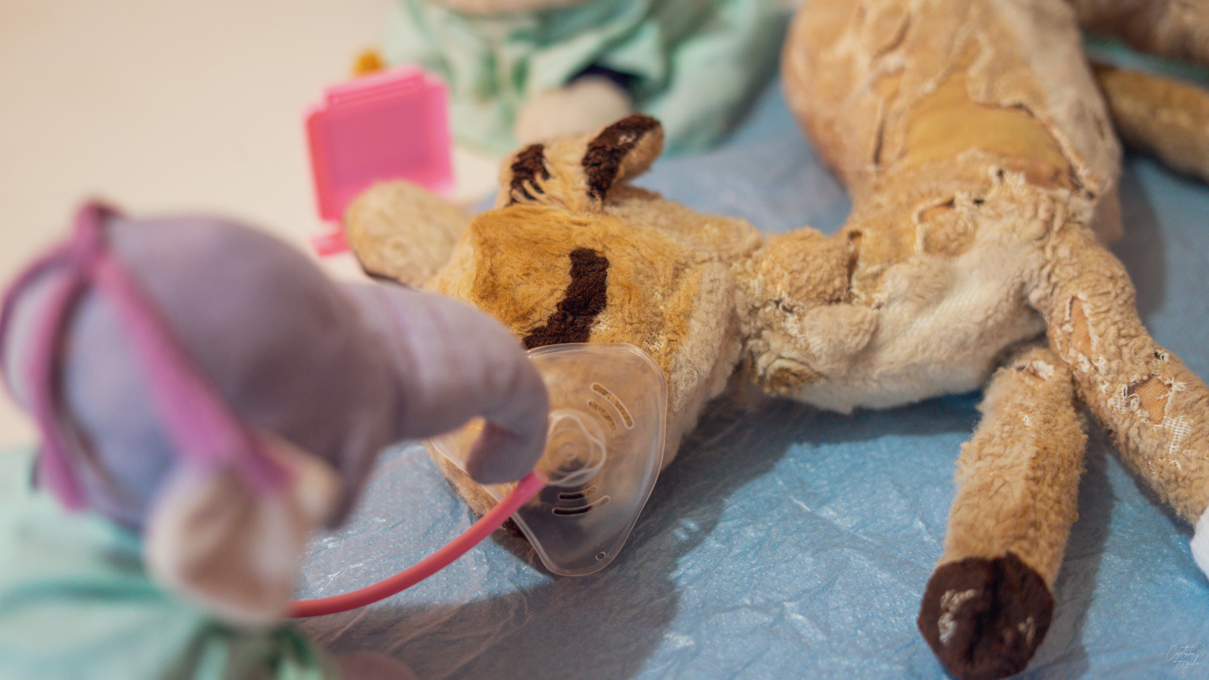 LesIndemoussables_AS-25 doudou malade